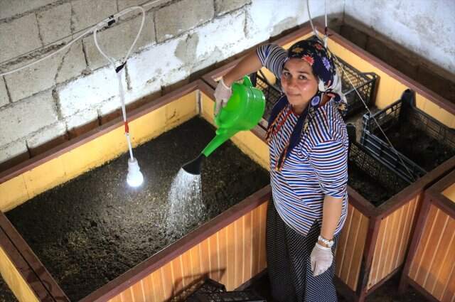 Solucan gübresi üretimi yapan kadın girimci ayda 3 bin lira kazanıyor Solucan gübresi üretimi yapan kadın girimci ayda 3 bin lira kazanıyor