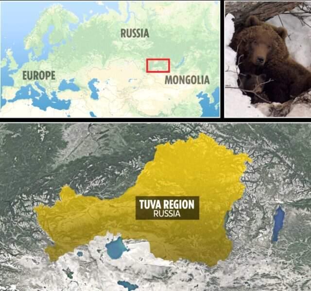 Ayının mağarada esir aldığı adam, 1 ay boyunca idrarını içerek hayatta kaldı