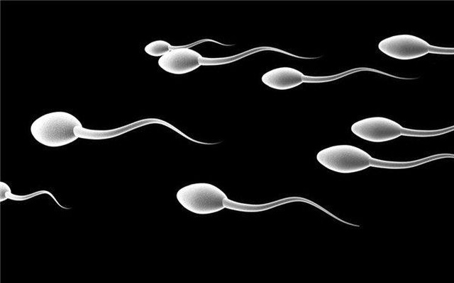 Fazla Fast Food Yiyen Erkeklerin Sperm Sayılarının Daha Az Olduğu Tespit Edildi