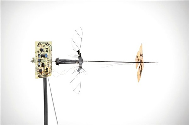 Gücünü Güneşten Alan Robot Arı: RoboBee X-Wing (Video)