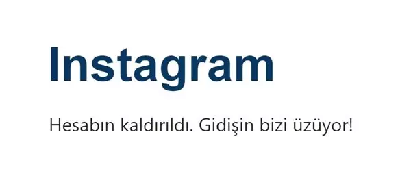 Instagram Hesabı Nasıl Silinir?