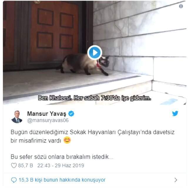 Mansur Yavaş sosyal medyayı salladı! Melih Gökçek'e 