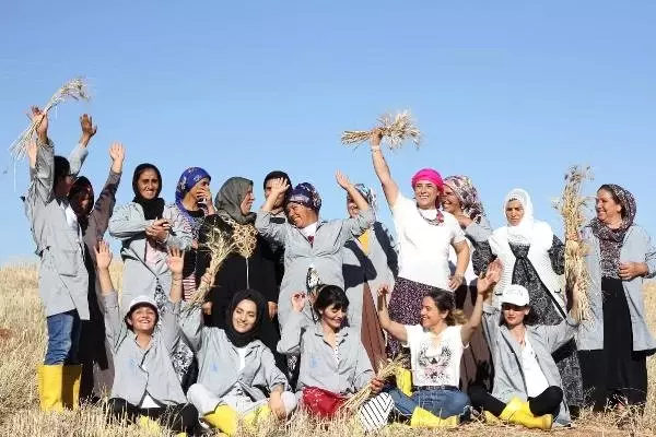 Mardin'in ata tohumları, Suriyeli mültecileri iş sahibi yaptı