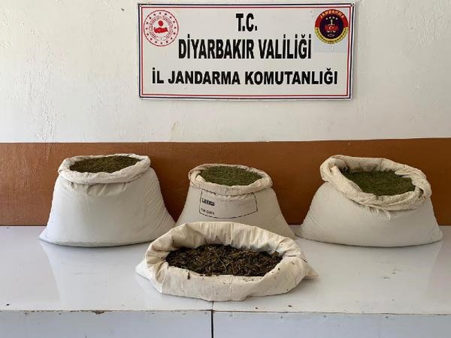 Diyarbakır'da dev operasyon! 5 milyon 430 bin kök Hint keneviri ele geçirildi