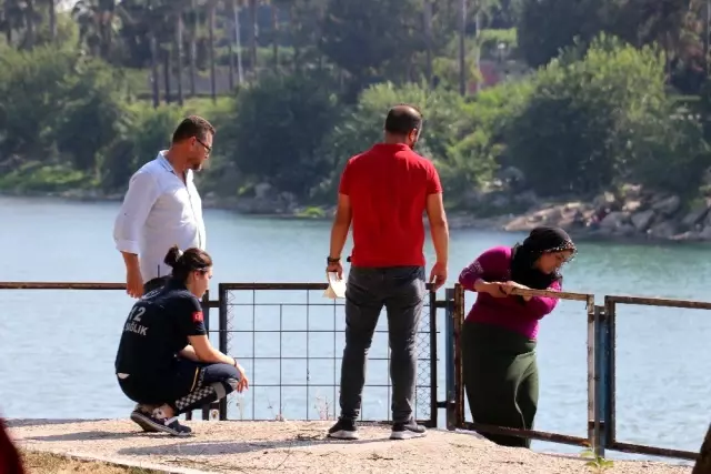 Miras için ölmek isteyen karısını ağaca yaslanarak izledi!