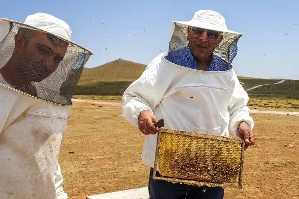 Volkanik Karacadağ'da bal hasadı başladı! Hedef 600 ton