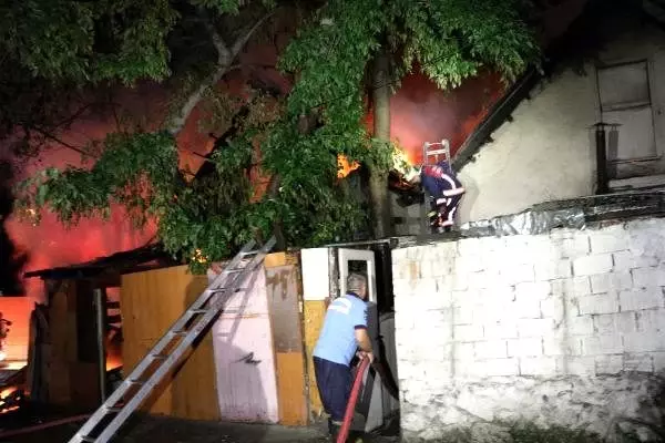 Bahçesinde baktığı kedilerin sesine uyanıp yanmaktan kurtuldu