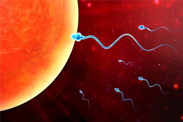 Bir Çalışma, WiFi'ın Erkeklerin Sperm Sayısını Düşürdüğünü Gösteriyor