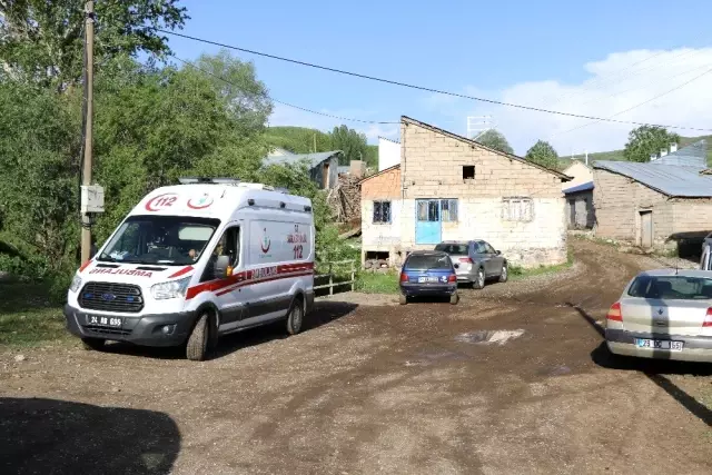 Erzincan'da son 28 günde yıldırım çarpması nedeniyle 3 çoban yaşamını yitirdi