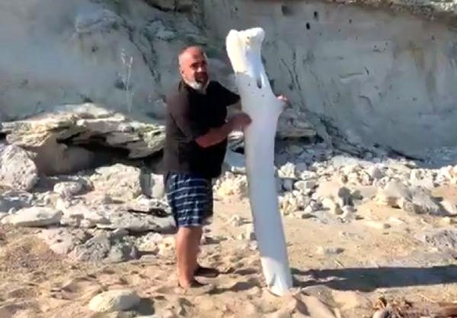 Gören telefona sarıldı! Saros'ta kıyıya, devasa kemikler vurdu