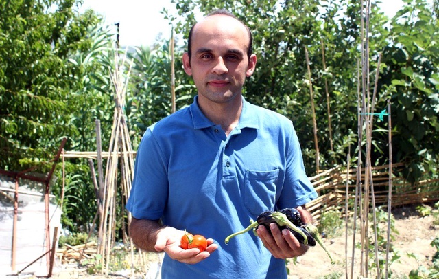 İçini açan şaşkına dönüyor! Dışı domates, içi patlıcan
