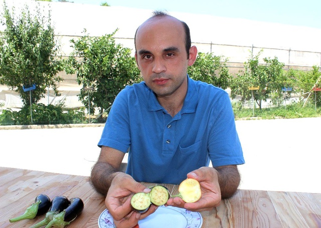 İçini açan şaşkına dönüyor! Dışı domates, içi patlıcan