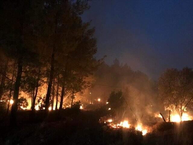 Muğla'daki orman yangınının görüntüleri