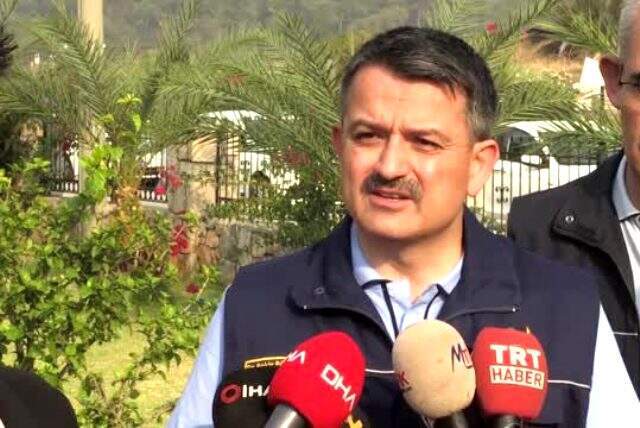 Muğla'daki yangınla ilgili Bakan Pakdemirli'den açıklama