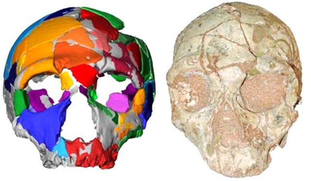 Yunanistan'da Modern İnsanlığa Ait Avrupa'nın En Eski Fosili Bulundu