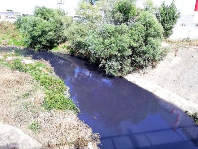 Tekirdağ'daki Kavak Deresi'ne kimyasal karıştı