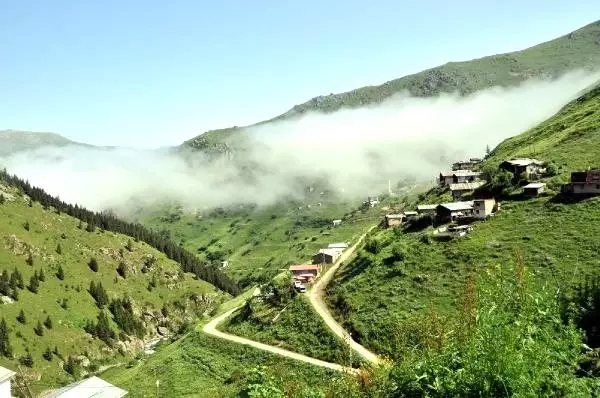 Miras yüzünden anlaşmazlığa düşen 2 kardeş, babadan kalma evi ikiye böldü