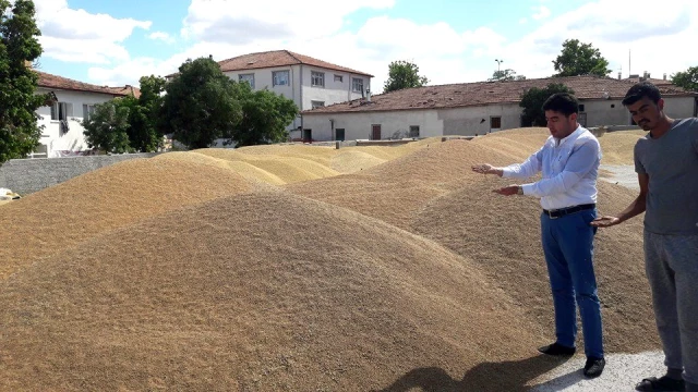 Kırıkkale'den günlük 800 ton buğday ve arpa sevkiyatı yapılıyor