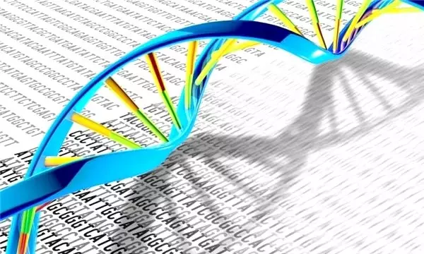 DNA Kopyalama Mekanizması, Atomik Seviyede Gözlemlendi