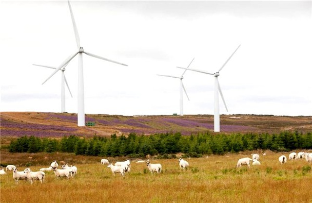 İskoçya'da Rüzgardan Elde Edilen Enerji, Evlerdeki İhtiyacın İki Katını Aştı