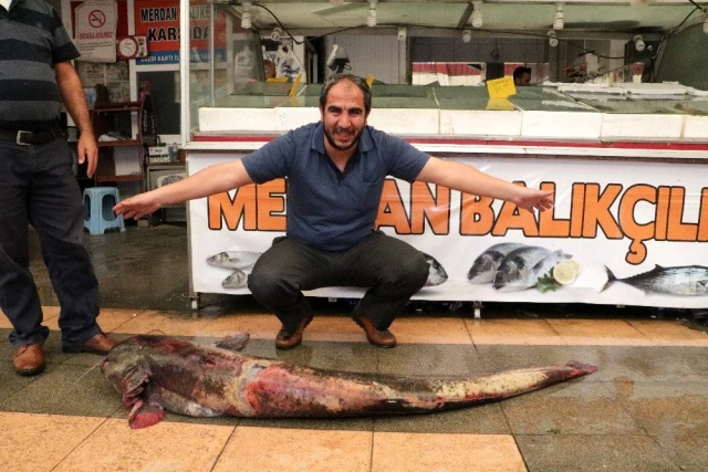 Baraj gölünde 100 kilo ağırlığında, 2 metre boyunda dev yayın balığı yakalandı