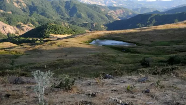 Tunceli - Ovacık'ta Ayaz ve Nupelda kardeşleri öldüren patlama ve patlamanın nedeniyle ilgili neler...