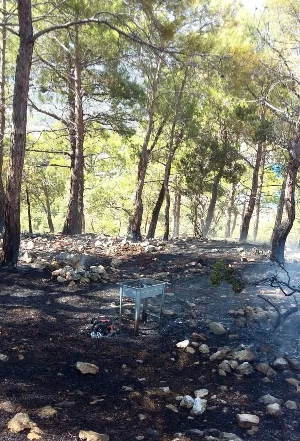 Piknikçilerin mangal ateşinden yangın çıktı