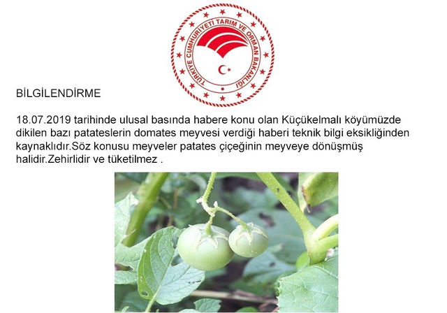 Herkes domates sanmıştı, zehirli patates olduğu anlaşıldı