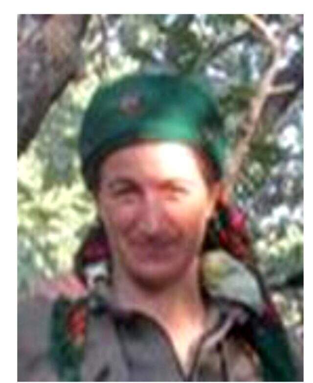 Bingöl'de mavi ve gri kategorideki teröristler etkisiz hale getirildi Bingöl'de mavi ve gri kategorideki teröristler etkisiz hale getirildi