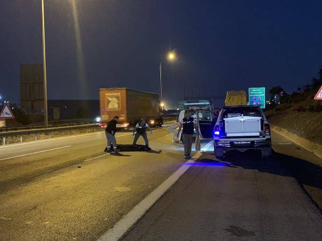TEM Otoyolu'nda bir kişi, TIR'ın altında kalarak feci şekilde can verdi