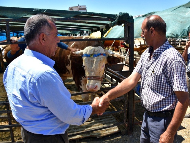 1 ton 200 kiloluk 'Paşa' isimli boğa 17 bin 500 TL'ye satıldı