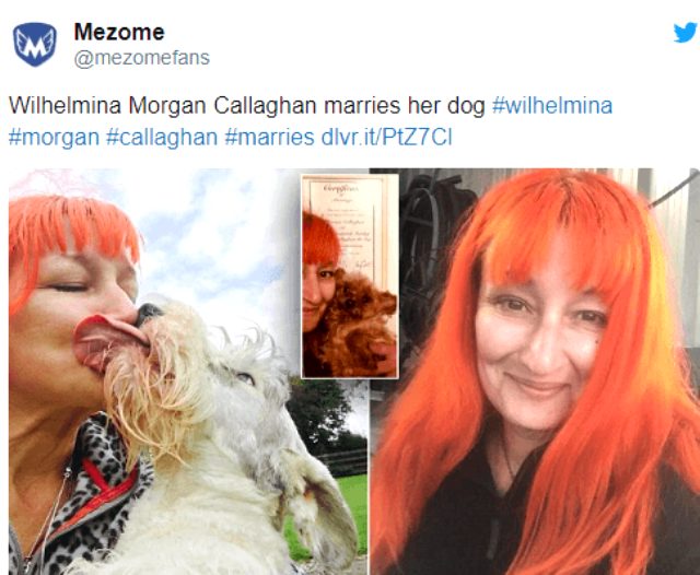 220 kişiyle ilişki yaşayan ünlü model Elizabeth Hoad, gerçek aşkı köpekte buldu!