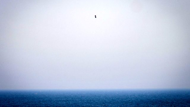 Uçan kaykay ile Manş Denizi'ni geçmeye çalışan mucit başarısız oldu