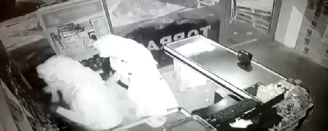 Kadın kıyafeti giyinip soygun yapan erkek hırsızlar yakalandı