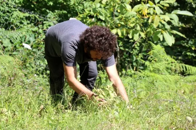 10 yıllık hayali olan organik üretim için mesleğini bıraktı