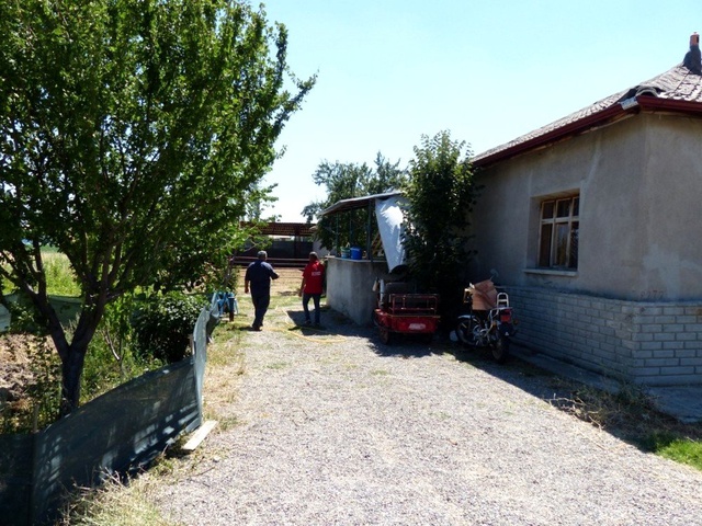 Yılanı vurmak isterken yanlışlıkla 6 buçuk aylık hamile karısını öldürdü