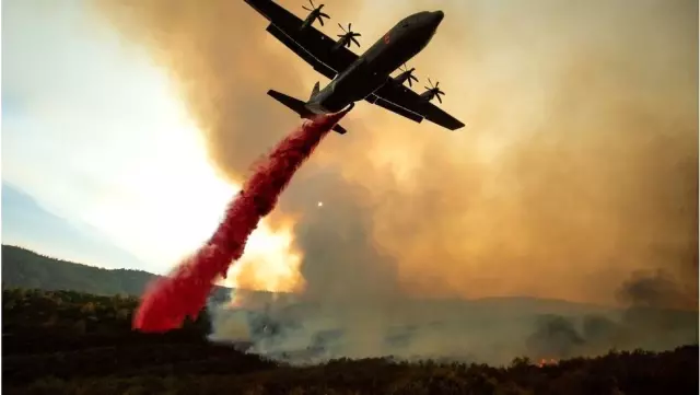 İklim değişikliği - Temmuz 2019, dünyada bugüne dek 'kaydedilen en sıcak ay' olabilir