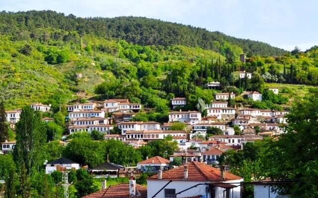 Şirince için mermer ocağı projesine onay: Binlerce zeytin ağacı kesilecek!