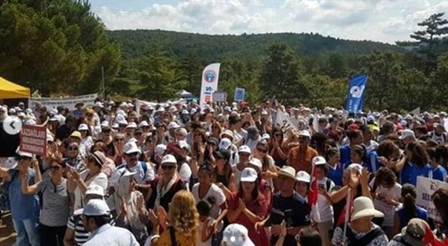 Şahan Gökbakar, Kaz Dağları'ndaki protestoya sosyal medya hesabından destek verdi
