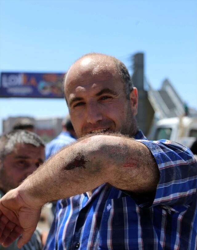 Erzurum'da kaçan kurbanlık boğa güçlükle yakalandı Erzurum'da kaçan kurbanlık boğa güçlükle yakalandı