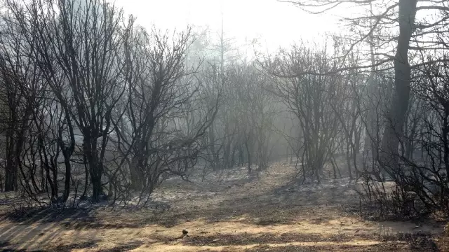 Çanakkale'deki korkutan yangın kontrol altına alındı