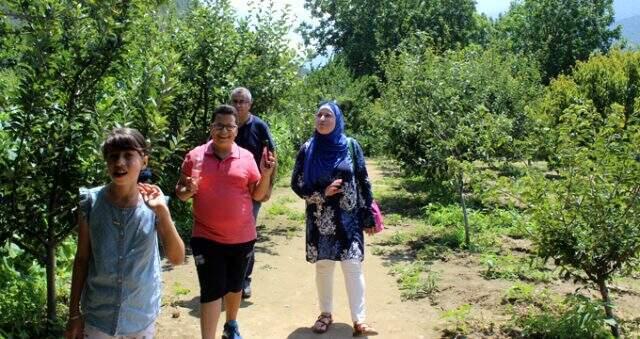 Bursa'daki meyve bahçesi, her gün bin turisti ağırlıyor