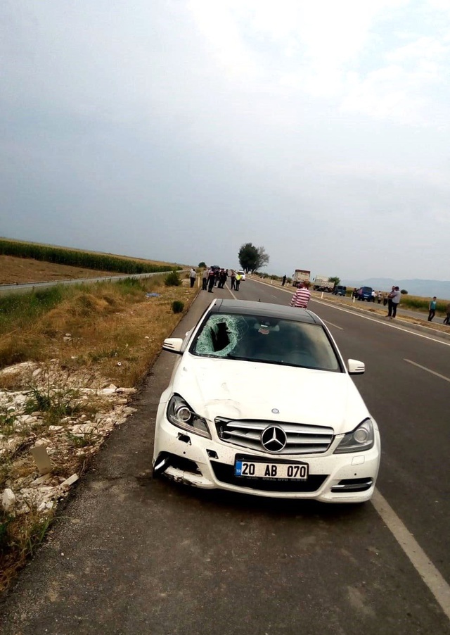 Kaplumbağayı kurtarmak isterken canından oldu