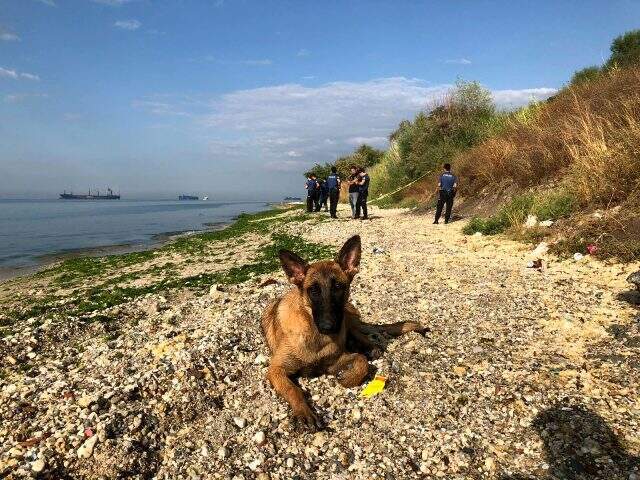 Beylikdüzü Sahili'nde kıyıya, poşet içinde bebek cansız bedeni vurdu