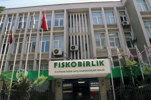 FİSKOBİRLİK, 25 kuruş fazla fiyatla fındık alımına başladı