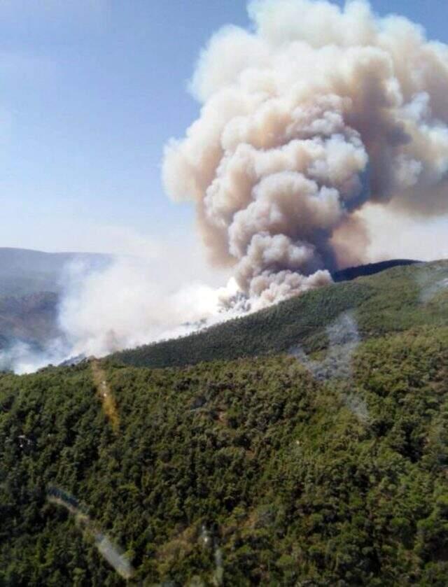 Milas'ta yangın büyüyor! 6 helikopter müdahale ediyor