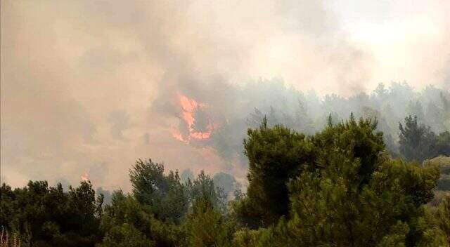 Bakan Pakdemirli İzmir'deki yangın ile ilgili konuştu: Bir köy boşaltılacak