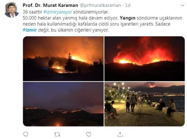İzmir'in ormanlarında yürekleri sızlatan acı bilanço İzmir'in ormanlarında yürekleri sızlatan acı bilanço