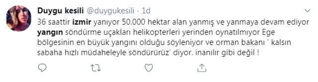 İzmir'in ormanlarında yürekleri sızlatan acı bilanço İzmir'in ormanlarında yürekleri sızlatan acı bilanço