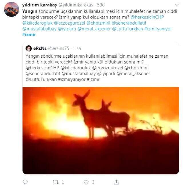 İzmir'in ormanlarında yürekleri sızlatan acı bilanço İzmir'in ormanlarında yürekleri sızlatan acı bilanço